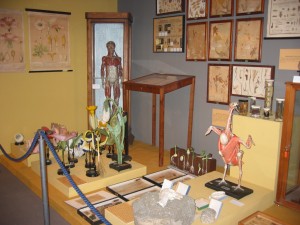 2006-5-12 Mostra 'Dagli archivi delle scuole romane'  (6)